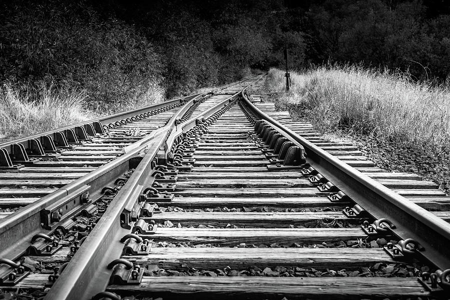 The Tracks Photograph by David Patterson