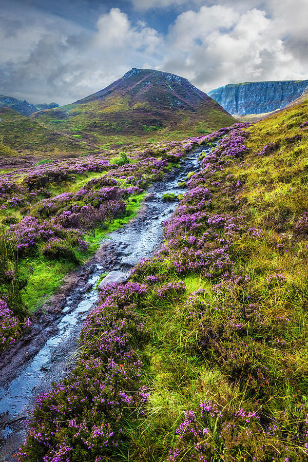 The Trail after the Rain in the Highlands Isle of Skye Photograph by Debra and Dave Vanderlaan
