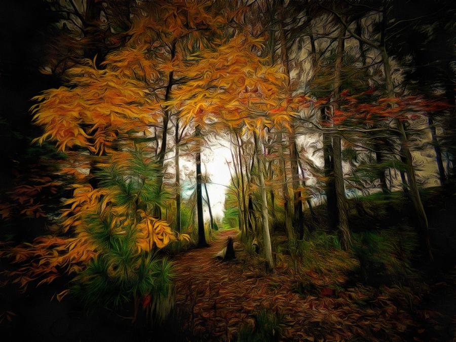 The Trail in Autumn Mixed Media by Christopher Reed