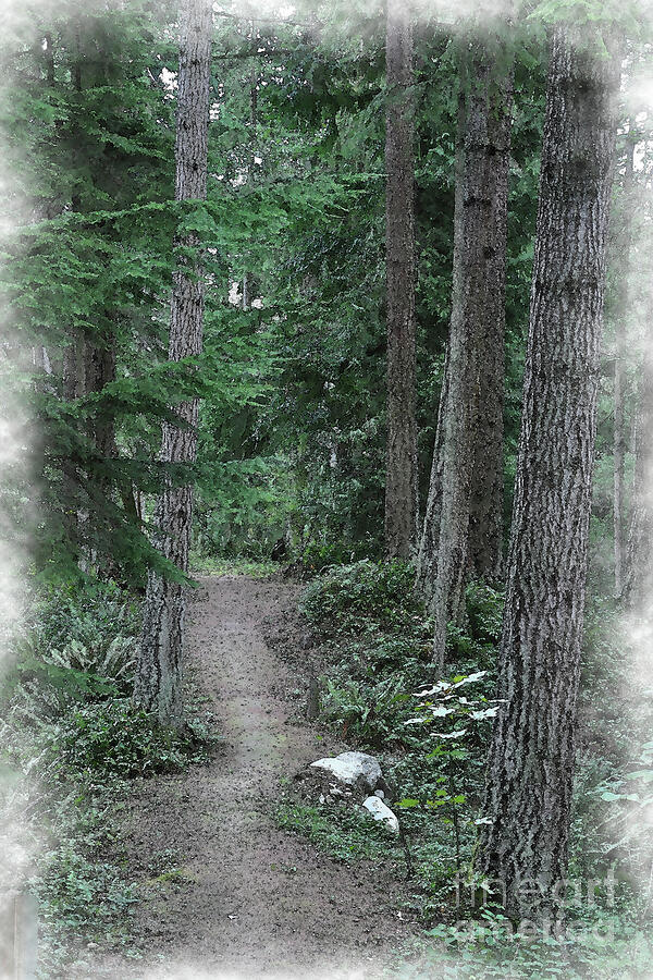 The Trail Digital Art by Kirt Tisdale
