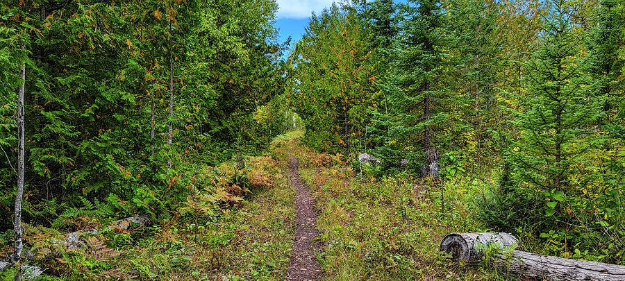 The Trail To Island Mine Photograph