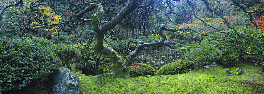 The tranquil Japanese Garden located in the west hills of the city of Portland, Oregon. Photograph by Jeffrey Murray