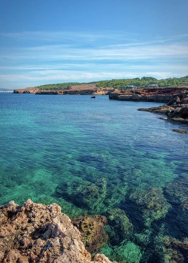 The transparent waters of Cala Bassa in San Antonio de Ibiza Photograph ...