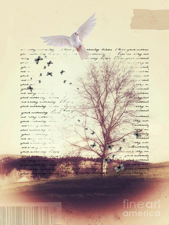 The Tree And The Peace Dove Photograph by Claudia Zahnd-Prezioso