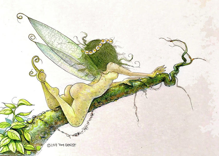 The tree fairy Drawing by Tim Ernst