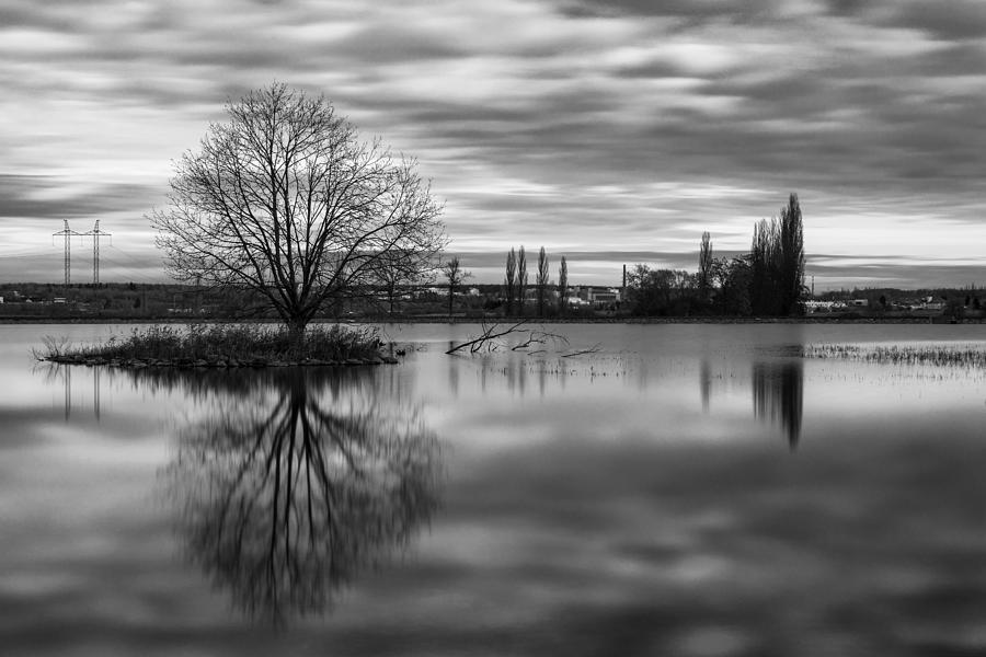 The tree in the Water Photograph by Martin Vorel Minimalist Photography