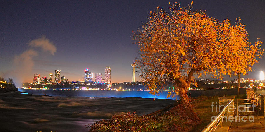 The Tree of Niagara Falls Photograph by fototaker Tony