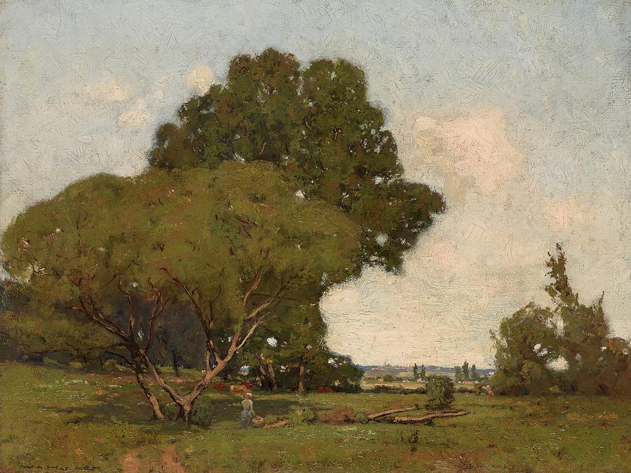 European Landscapes Painting - The Trees, Early Afternoon, France by William A Harper