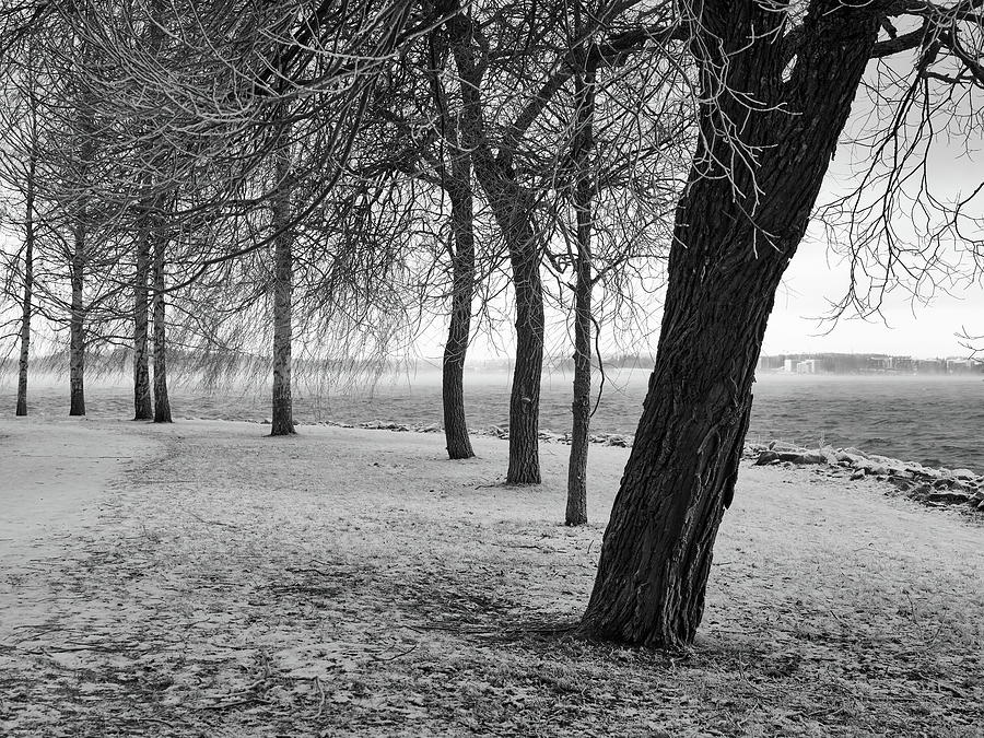The trees of frost bw Photograph by Jouko Lehto