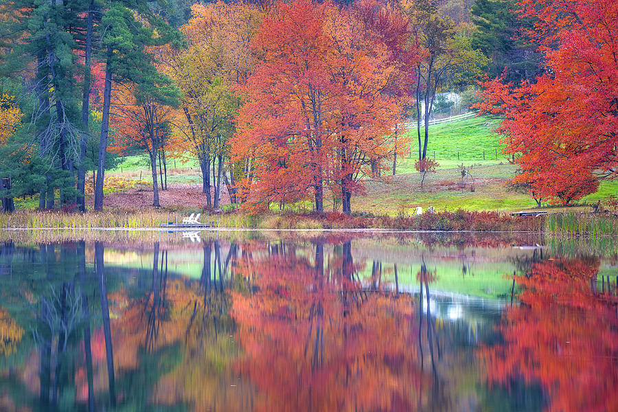 The Trees on Grist Mill Pond Photograph by Penny Polakoff