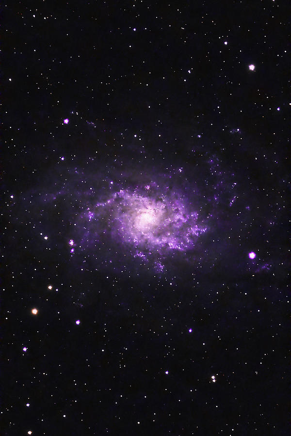 The Triangulum Galaxy M 33 - 10/25/2023 Photograph by Rich Kovach