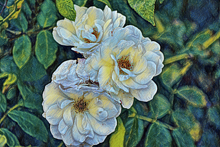 The Triple Rose Garden Digital Art by Gaby Ethington