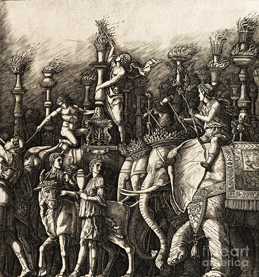 The Triumph of Caesar the Elephants Drawing by Peter Ogden