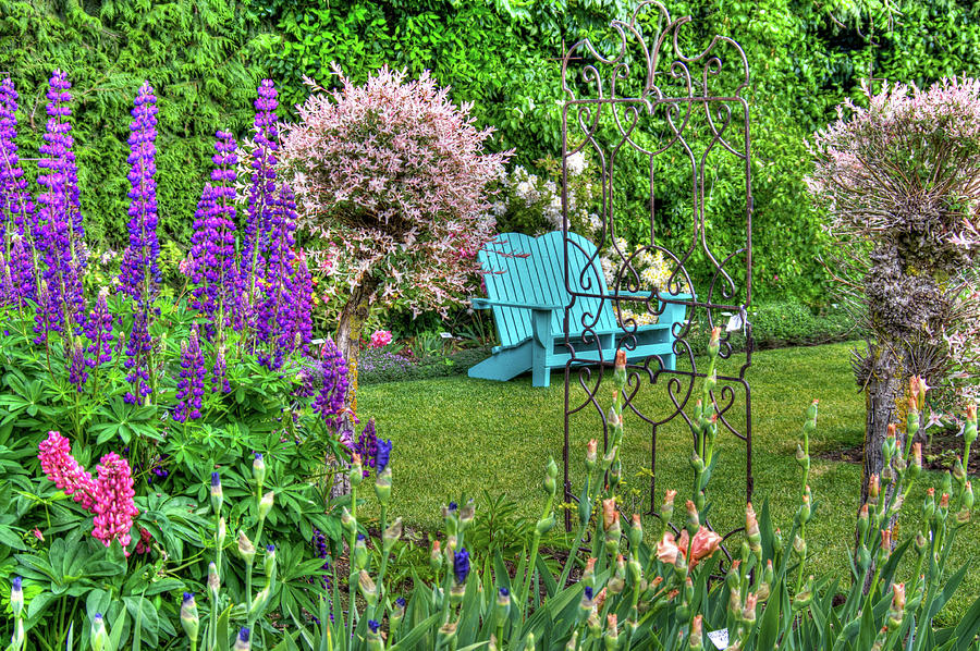 The Turquoise Bench Photograph by Thom Zehrfeld