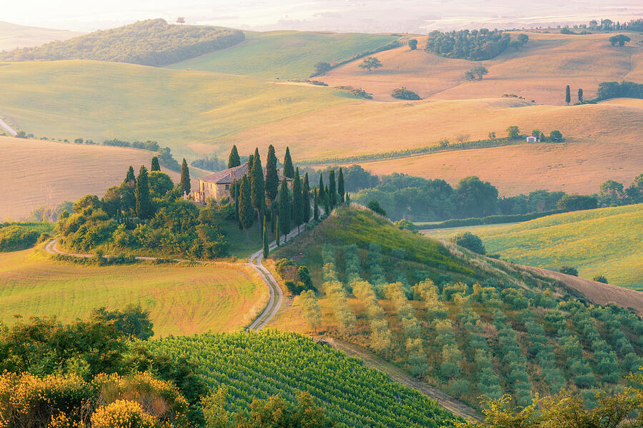 The Tuscan Landscape Photograph by Francesco Riccardo Iacomino The Tuscan Landscape Photograph by Francesco Riccardo Iacomino