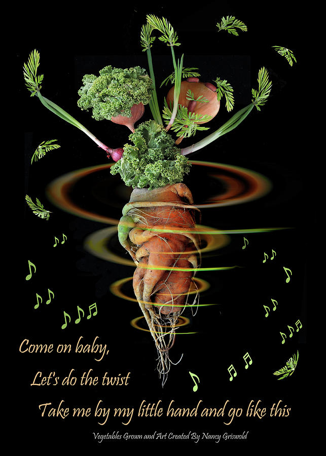 The Twisted Carrots Photograph by Nancy Griswold