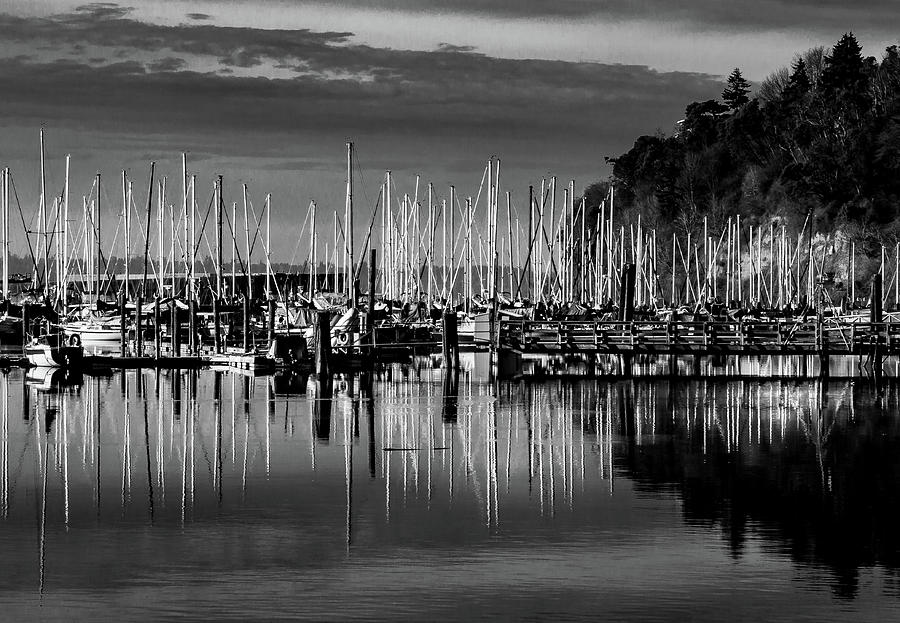The Tyee Marina Photograph by David Patterson
