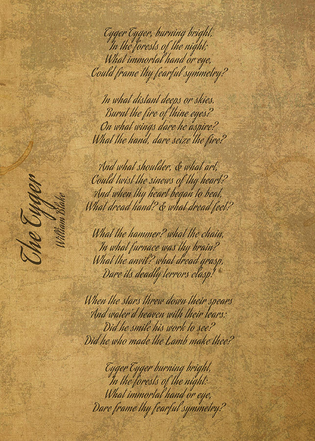 The Tyger by William Blake Classic Poem Iconic Poetry on Old Canvas ...