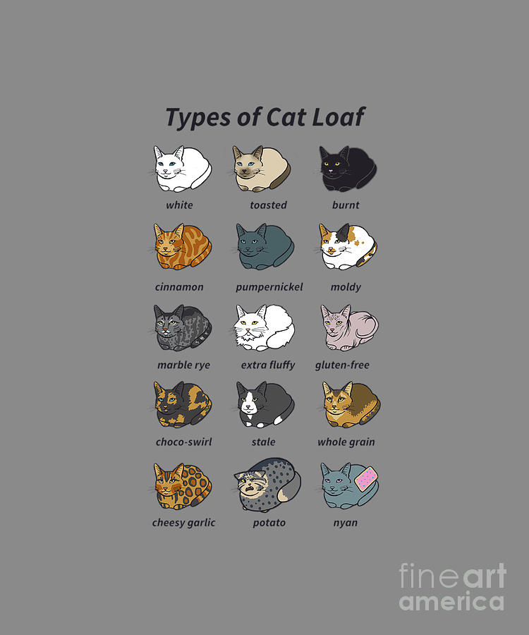 The Types of Cat Loaf Classic Tapestry Textile by Dark Ness