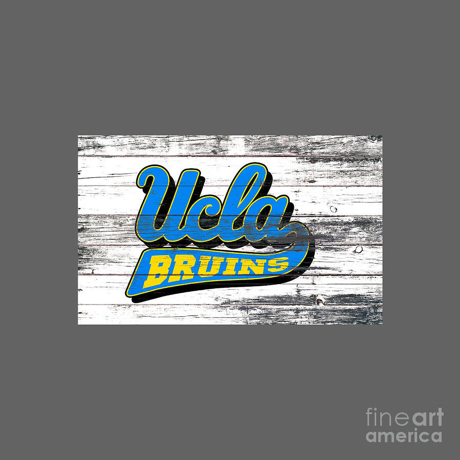 The UCLA Bruins Drawing by David R Hardaway Fine Art America