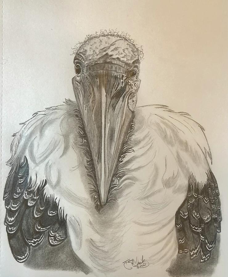 The Ugly Bird Drawing by Tony Clark