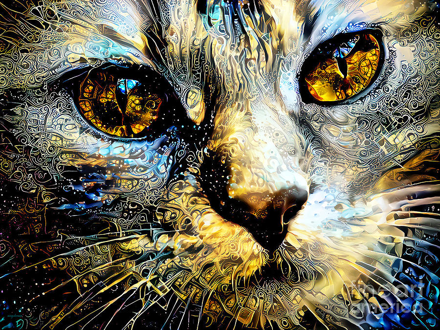 The Universe Through The Eyes Of A Cat 20210314 Photograph by Wingsdomain Art and Photography