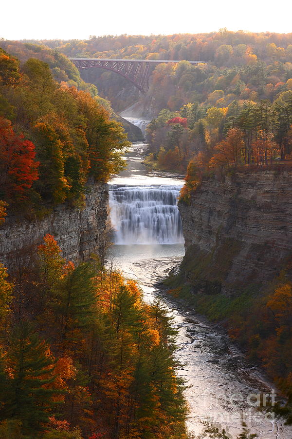 The Middle Falls of Letchworth State Park Photograph by Tony Lee