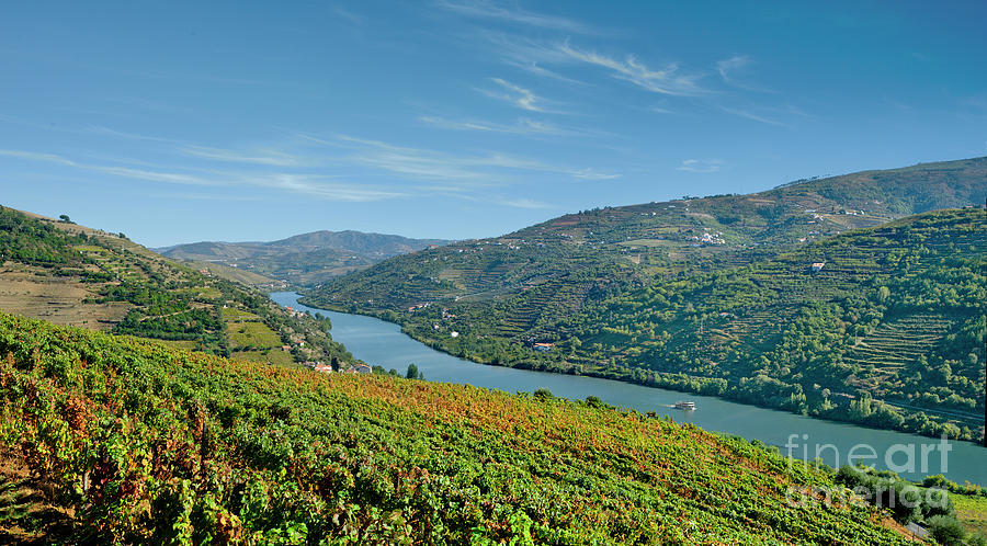 The Vale do Douro, near Regua Photograph by Mikehoward Photography