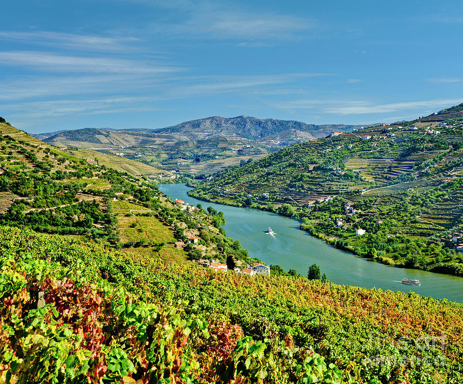 The Vale do Douro, Regua, Portugal Photograph by Mikehoward Photography