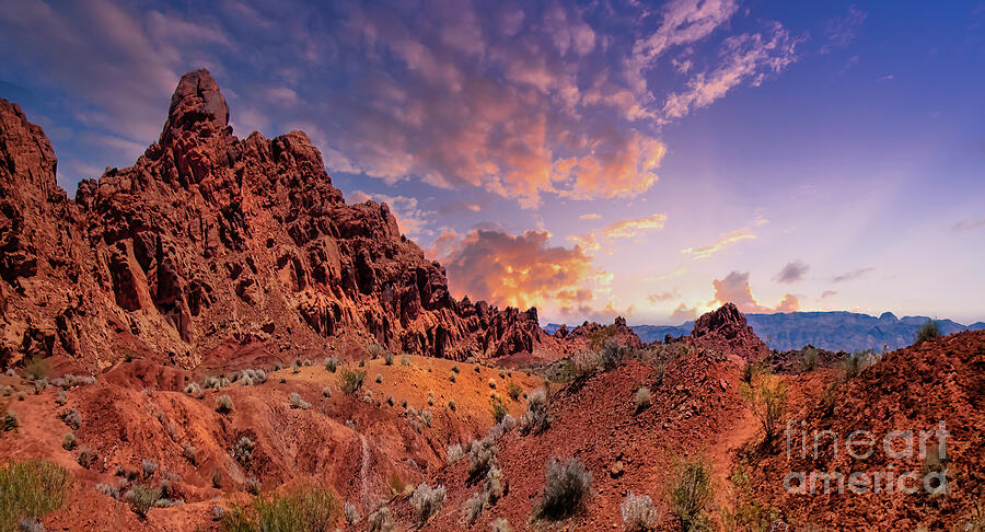 The Valley of Fire 2 Photograph by Shelia Hunt