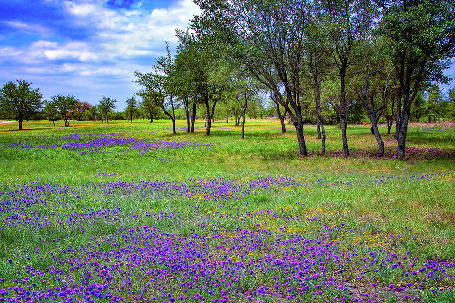 The Varied Colors of Muleshoe Bend Photograph by Lynn Bauer