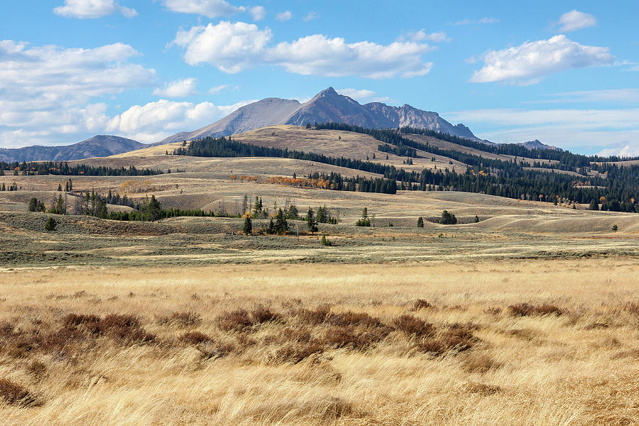 The Vast Yellowstone Landscape Photograph by Robert Carter