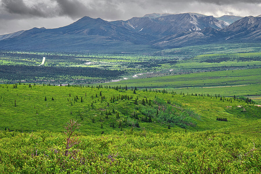 Denali National Park Photograph - The Vastness of Denali NP, Alaska by Jim Thompson