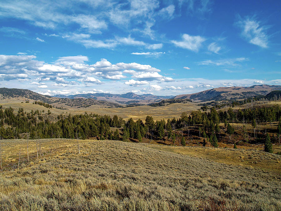 The Vastness of Yellowstone... Photograph by David Choate | Pixels