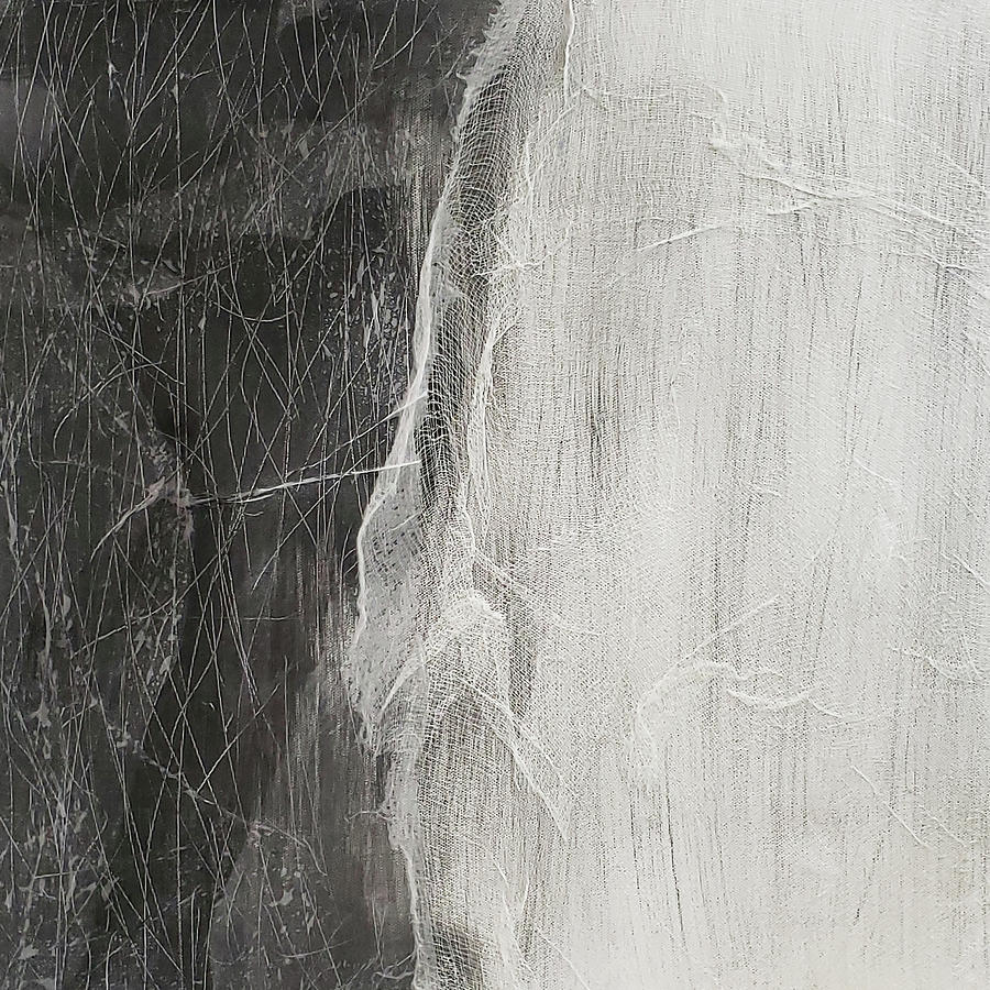 THE VEIL OF DARKNESS Black White Abstract Painting by Lynnie Lang