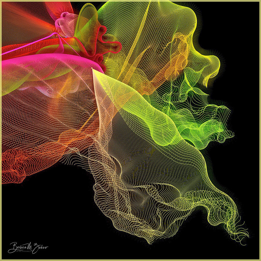 The Veils - Abstract - Series #9 Photograph by Barbara Zahno
