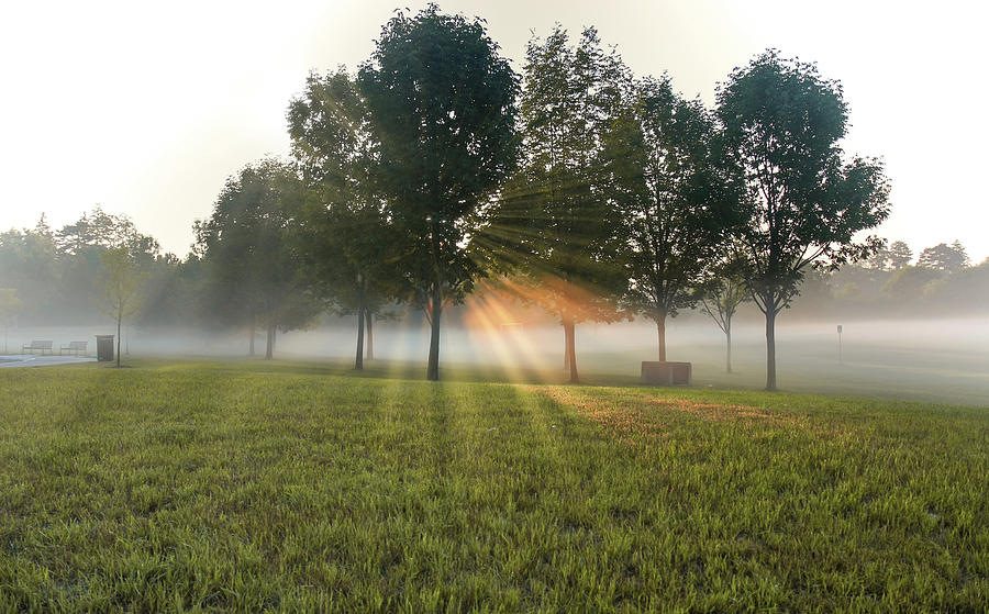 The very best of the sunrise by Nick Mares The very best of the sunrise by Nick Mares