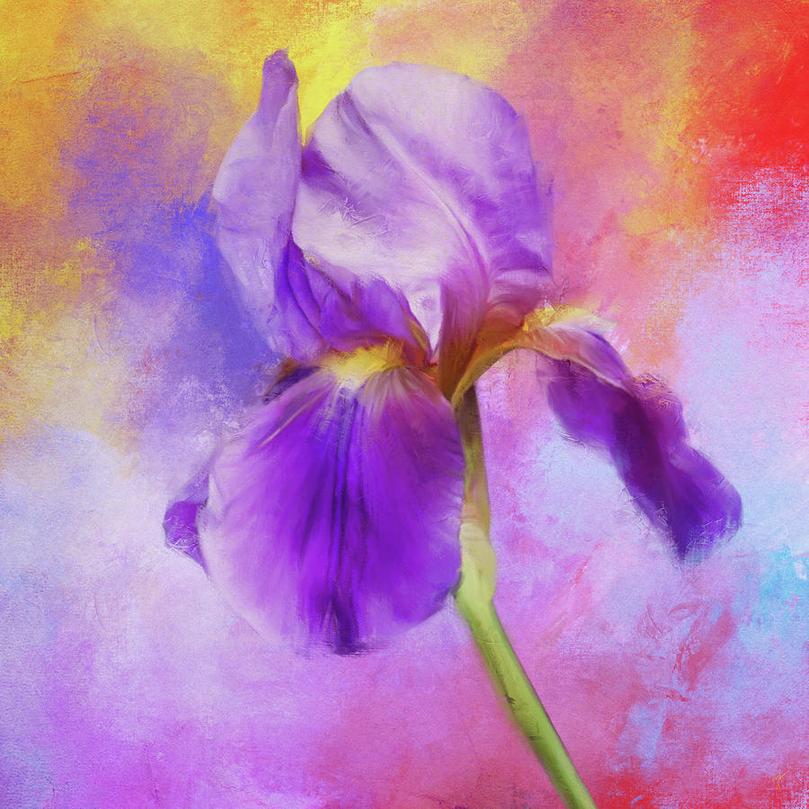 The Vibrant Purple Iris Painting by Jai Johnson