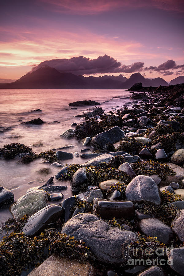 The View From Elgol Photograph by David Lichtneker