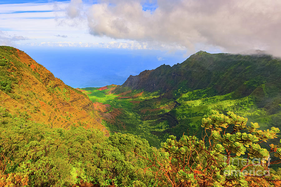 The view from Mount Waialeale Photograph by Henk Meijer Photography