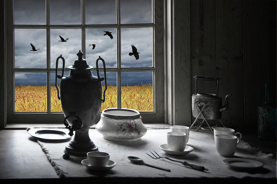 The View From My Window With Crows Over A Wheatfield Photograph by Randall Nyhof