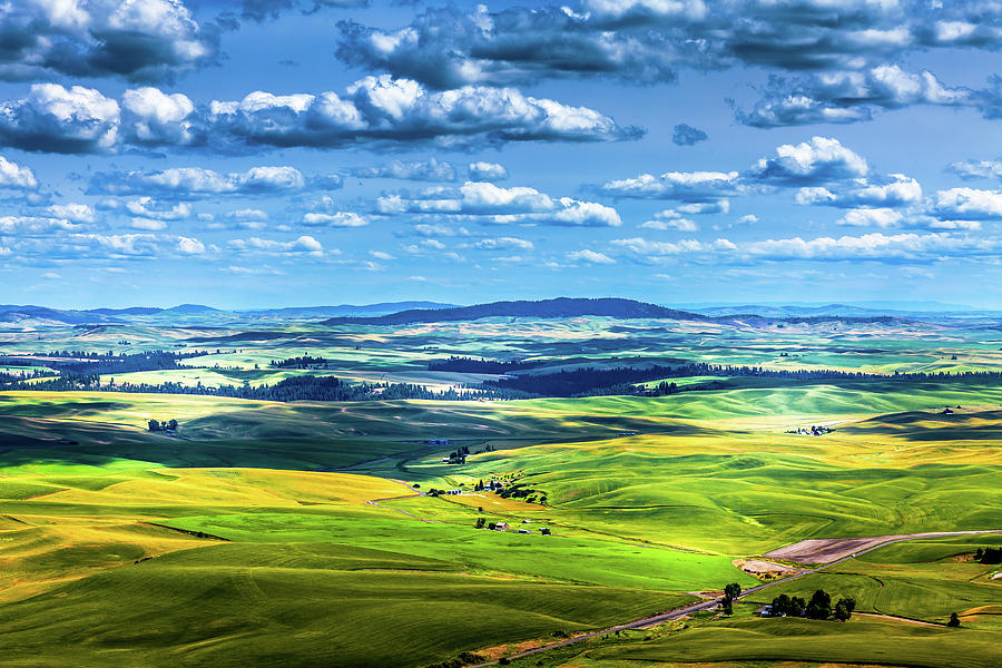 Landscape Photograph - The View from Steptoe by David Patterson