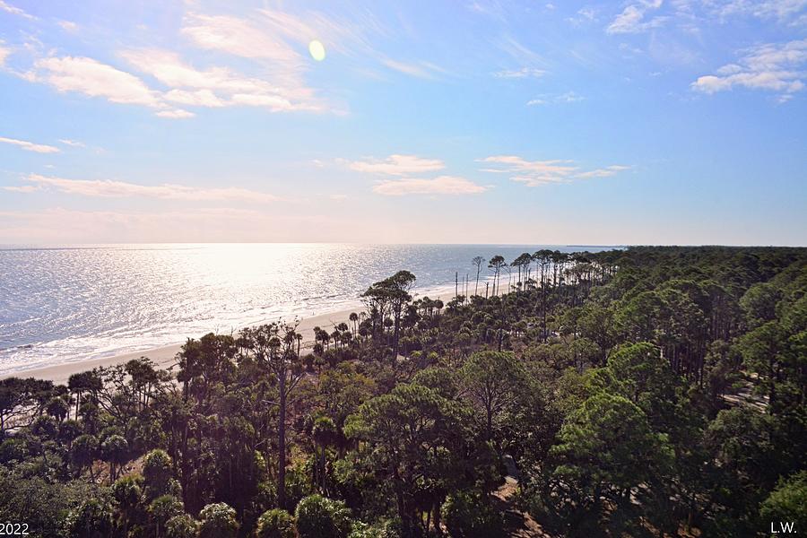The View From The Top Of Hunting Island Lighthouse Photograph by Lisa Wooten