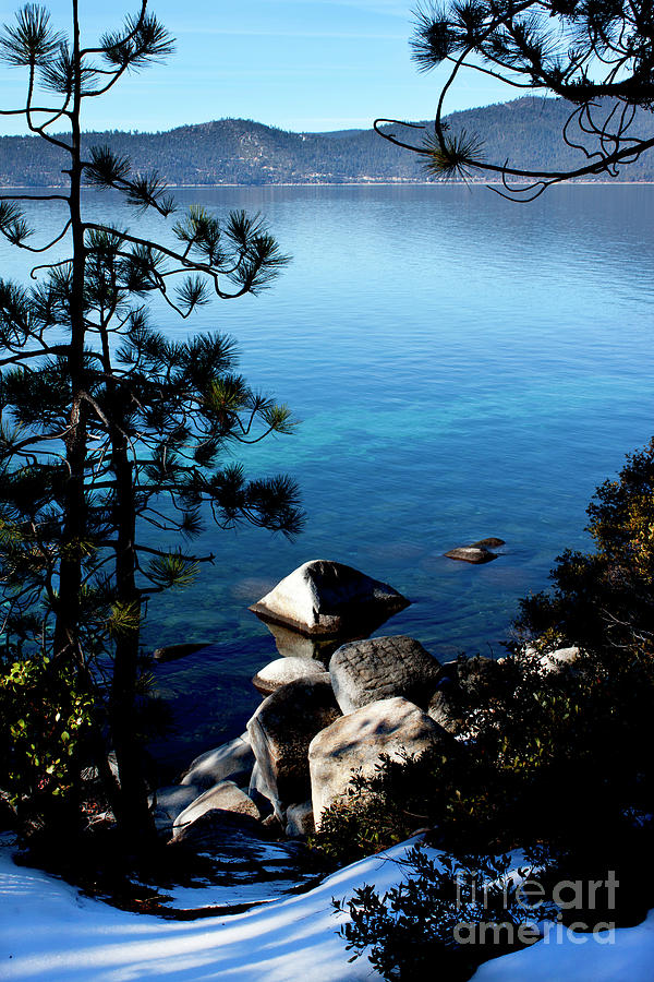 The View of Lake Tahoe Photograph by Ivete Basso Photography