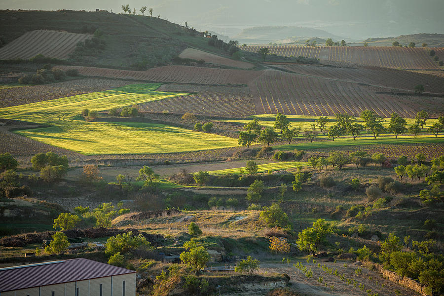 The village of Briones and fields.  Rioja Alta, Spain Photograph by Sima_ha
