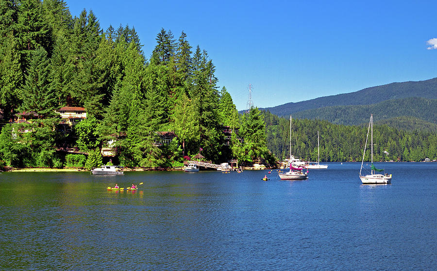 The village on the slope of  Deep Cove Photograph by Alex Lyubar