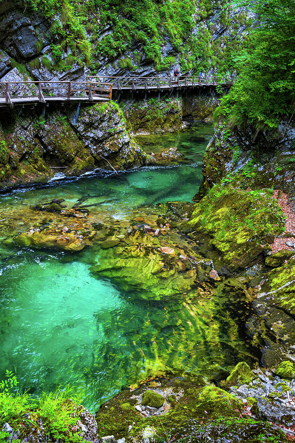 The Vintgar Gorge Scenic Landscape In Slovenia Photograph by Artur Bogacki
