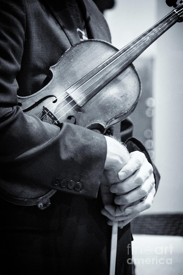 The Violinists Hands Photograph