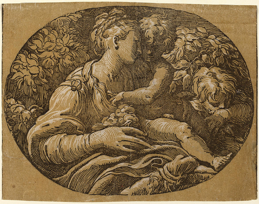 The Virgin with the Rose Drawing by Antonio da Trento