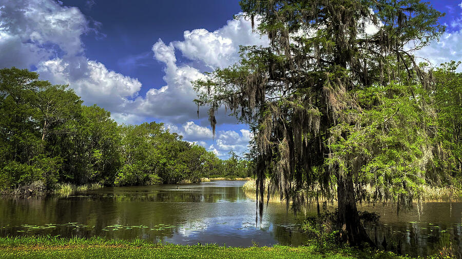 The Waccamaw River From Brookgreen Gardens Digital Art
